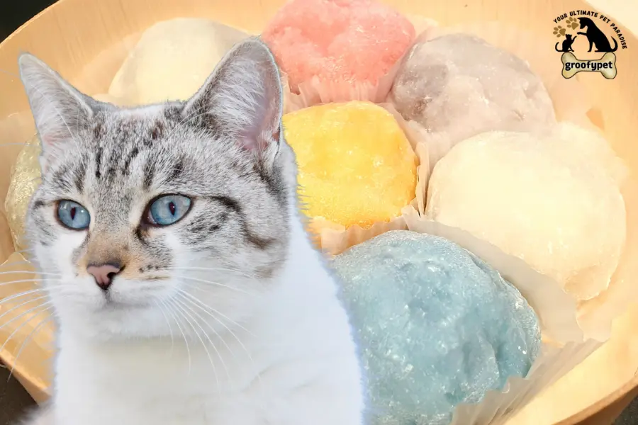can cats eat mochi