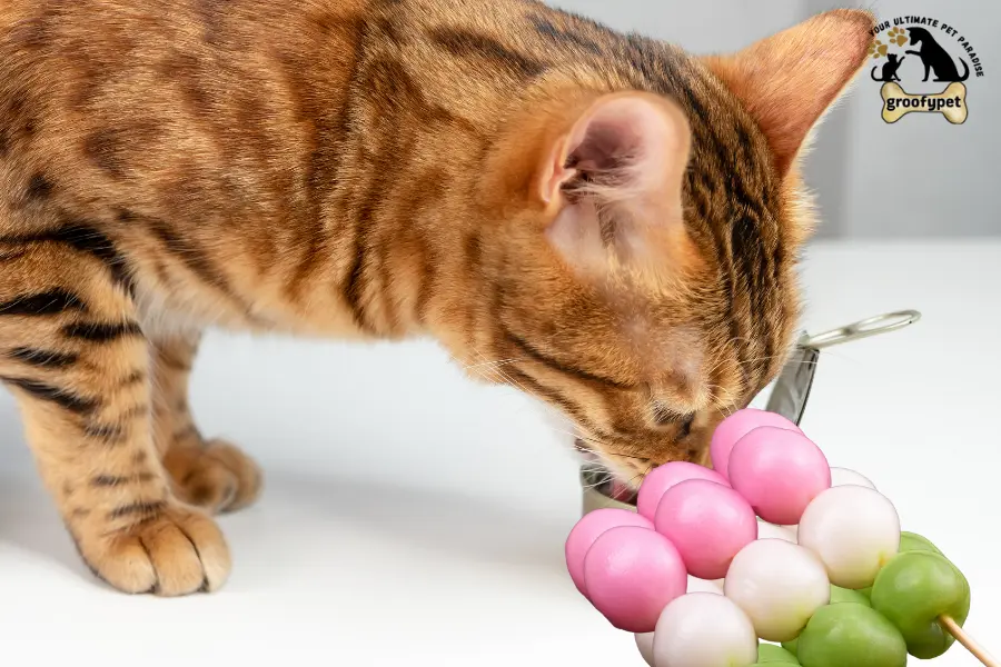 can cats eat mochi