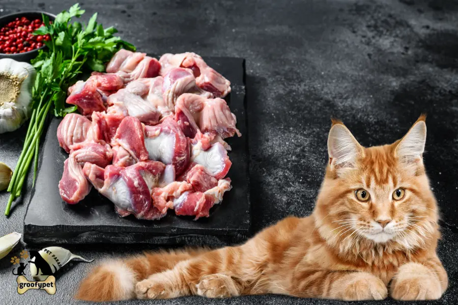 can cats eat chicken gizzards