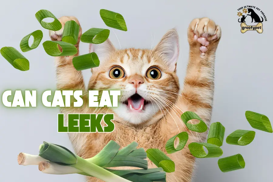 can cats eat leeks