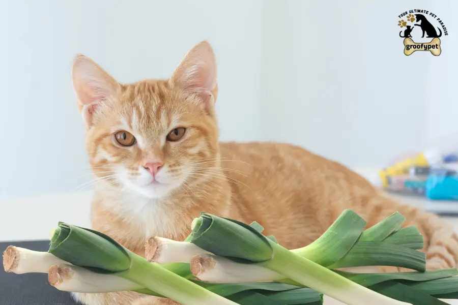 can cats eat leeks