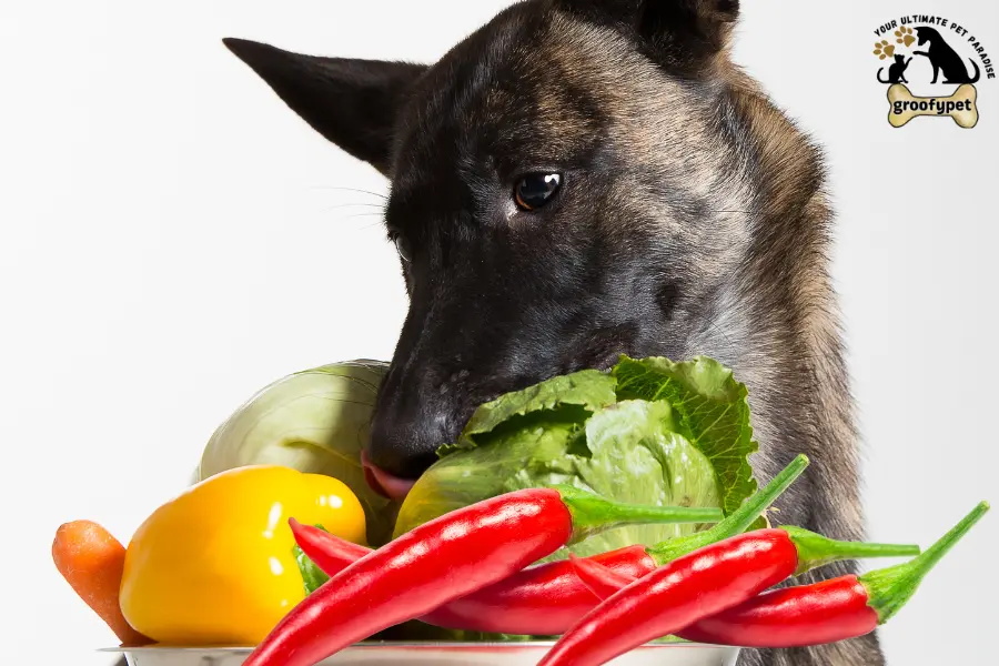 can dogs eat hot peppers