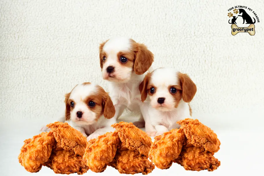 can puppies eat cooked chicken