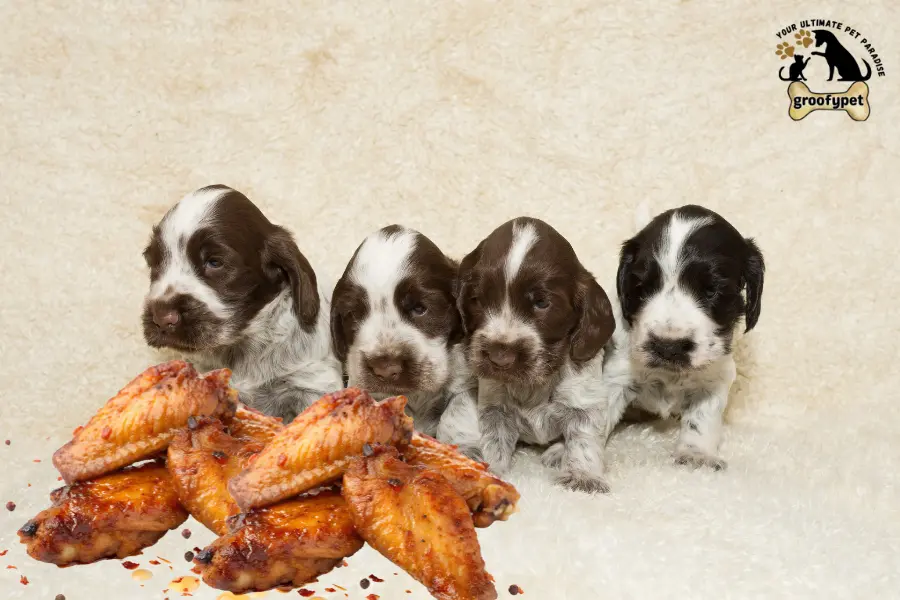 can puppies eat cooked chicken