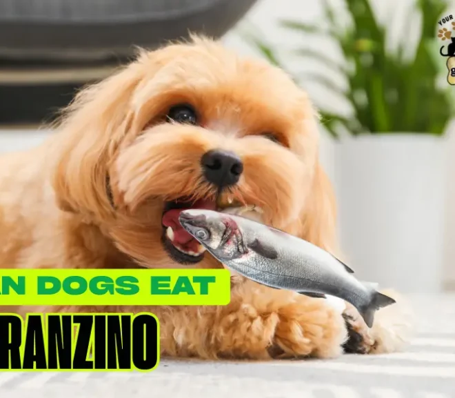 Can Dogs Eat Branzino or Is It Dangerous? Find Out the Shocking Truth Before You Feed!