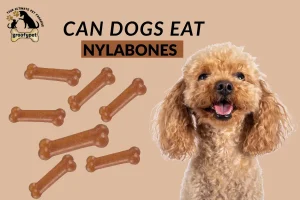 can dogs eat nylabones