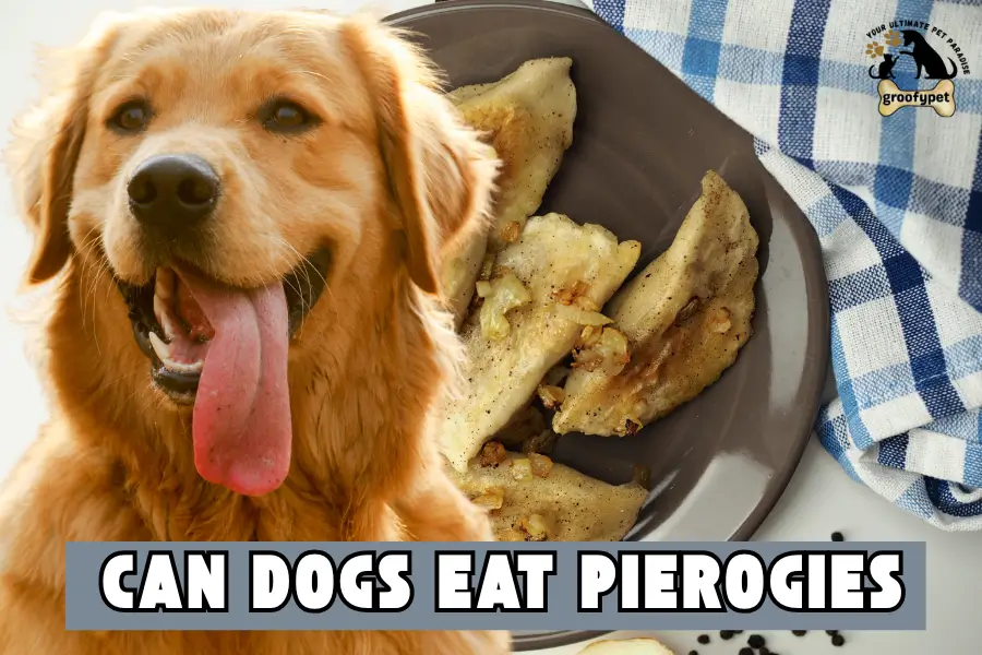 can dogs eat pierogies