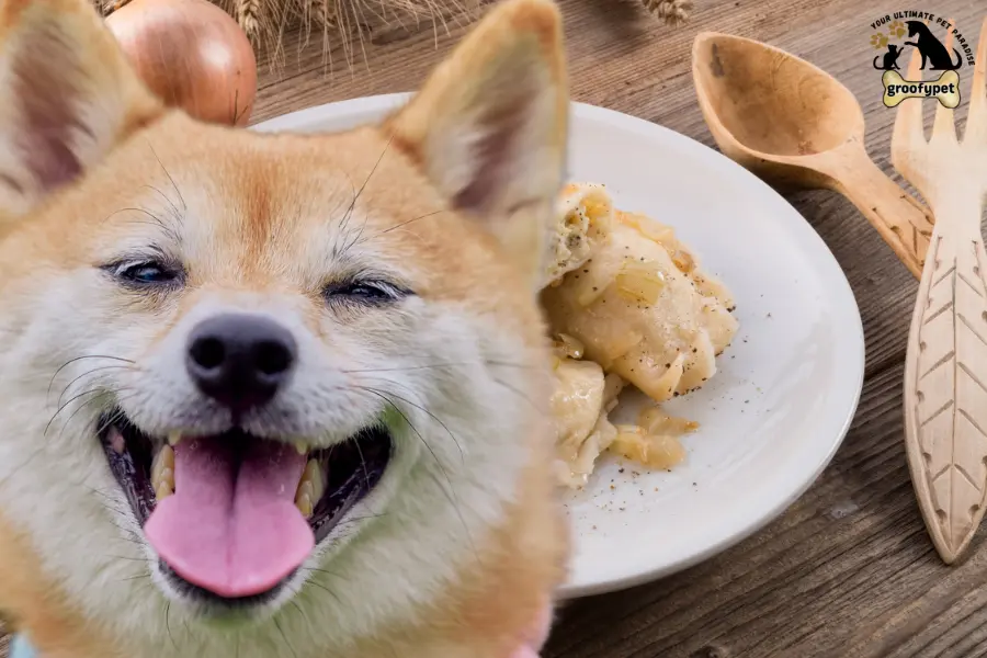 can dogs eat pierogies