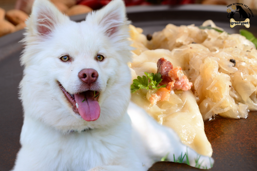 can dogs eat pierogies