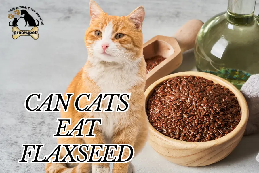 can cats eat flaxseed