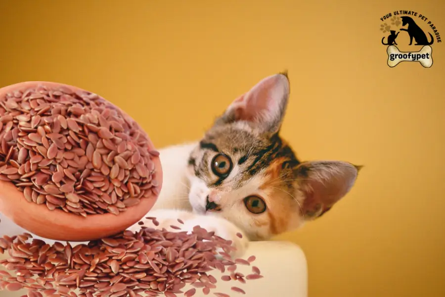 can cats eat flaxseed