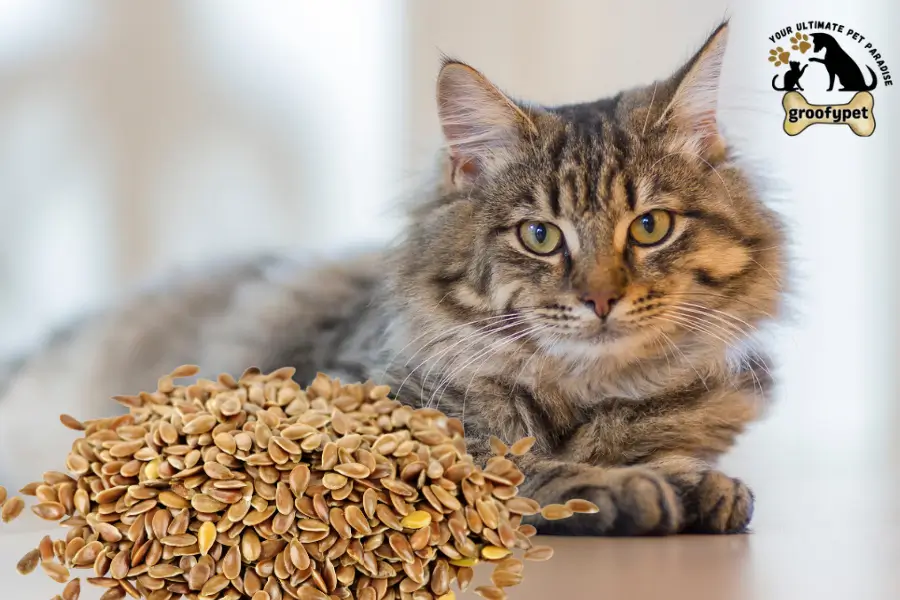 can cats eat flaxseed
