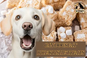 Can Dogs Eat Rice Krispie Treats