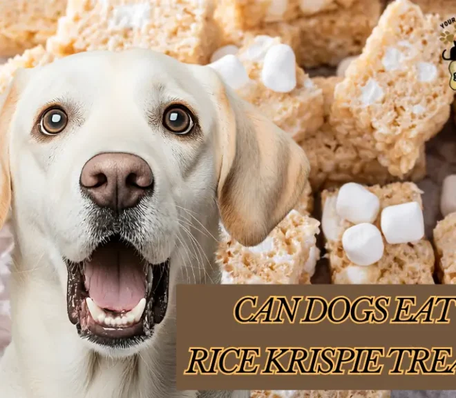 Can Dogs Eat Rice Krispie Treats? A Heartfelt Guide for Caring Dog Owners!