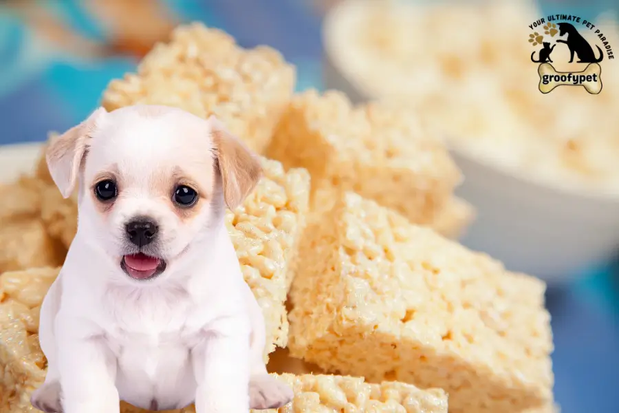 Can Dogs Eat Rice Krispie Treats