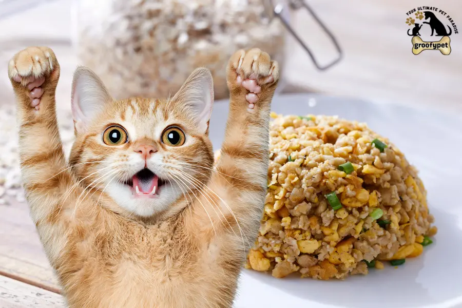 can cats eat fried rice