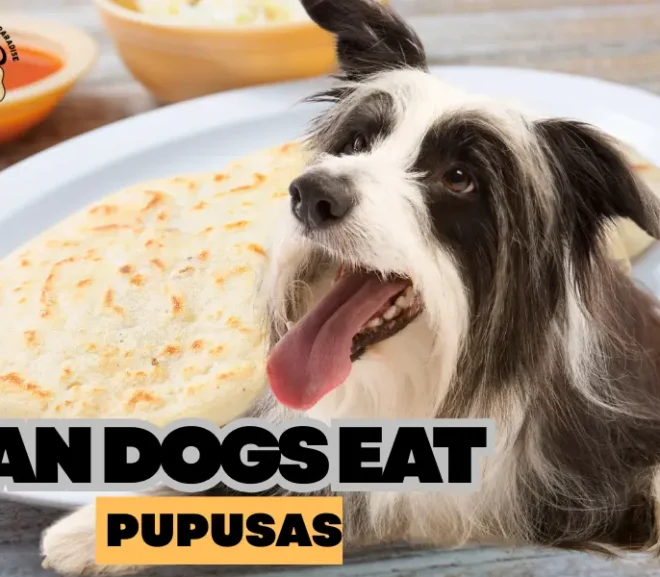 Can Dogs Eat Pupusas? A Pet Lover Guide to Safe Feeding!