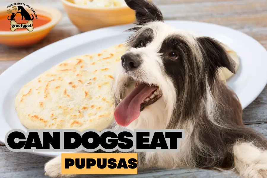 can dogs eat pupusas
