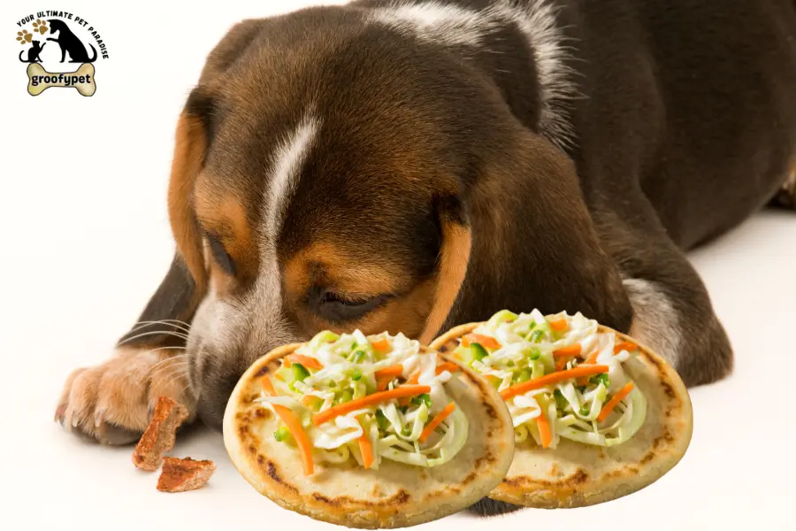 can dogs eat pupusas