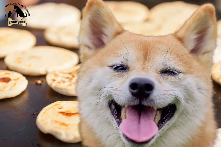 can dogs eat pupusas