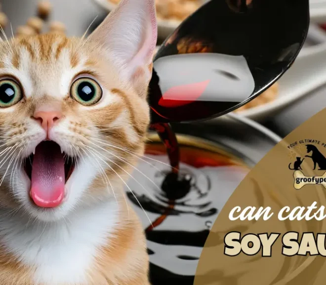 Can Cats Eat Soy Sauce? Symptoms, Risks, And Safer Alternatives!