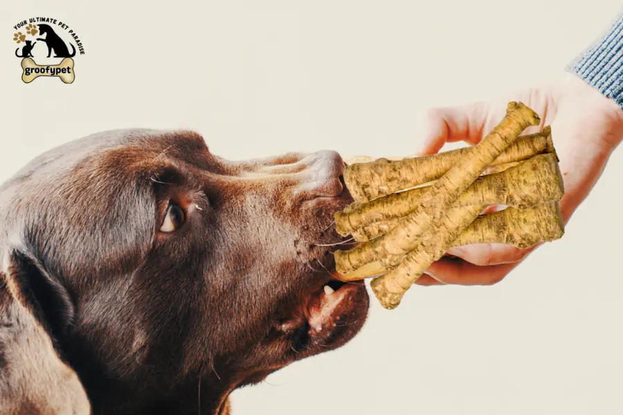can dogs eat horseradish