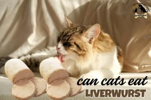 can cats eat liverwurst