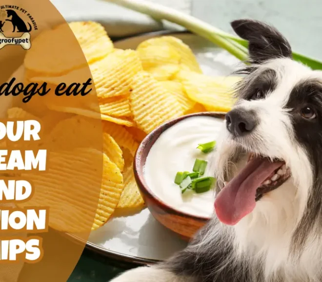 Can Dogs Eat Sour Cream and Onion Chips? Big Risks and Few Benefits Revealed!