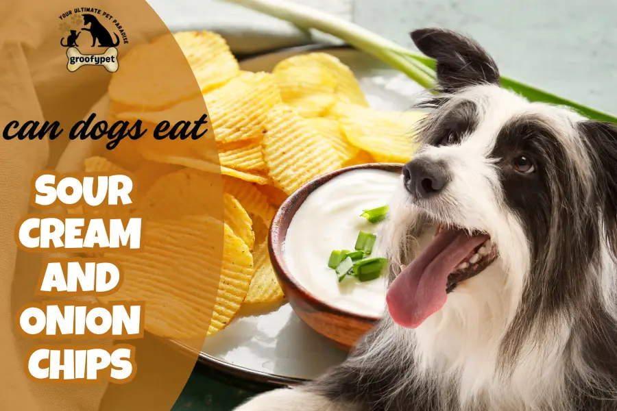 can dogs eat sour cream and onion chips