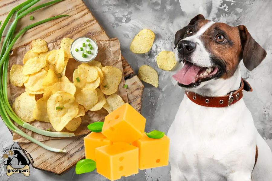 can dogs eat sour cream and onion chips
