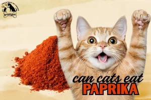 can cats eat paprika