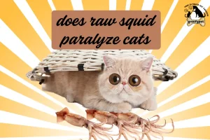 does raw squid paralyze cats