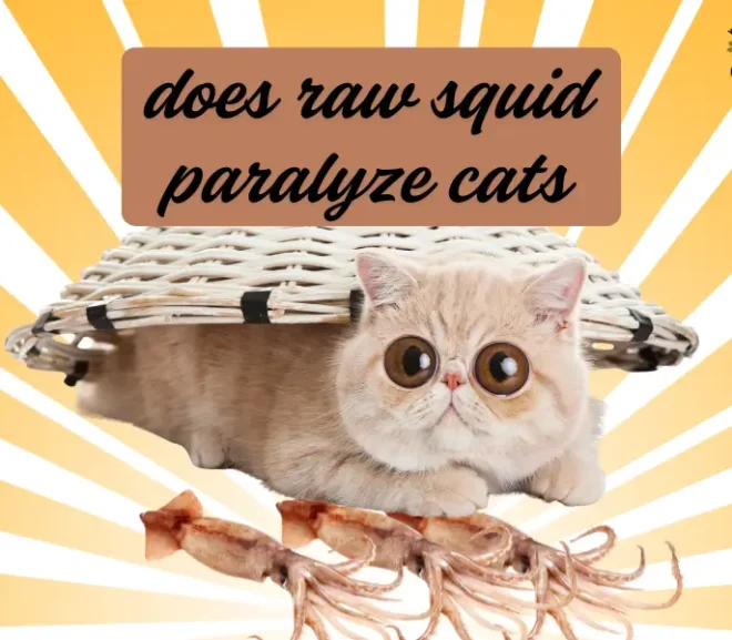 Does Raw Squid Paralyze Cats? A 2026 caring Guide Every Cat Parent Must Read!