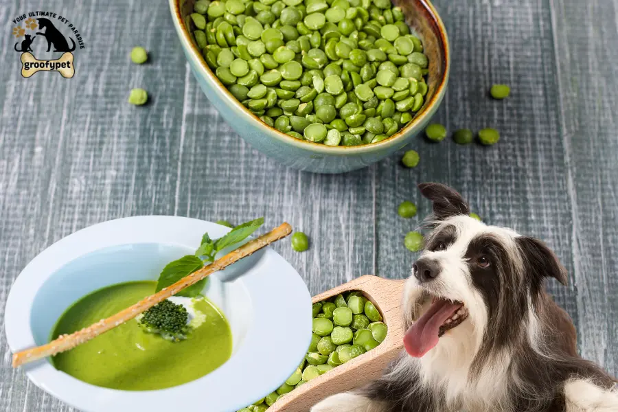can dogs eat split pea soup