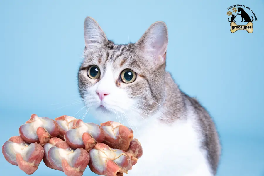 can cats eat gizzards