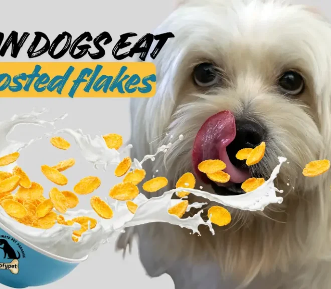 Can Dogs Eat Frosted Flakes Safely or Is It a Sugary Mistake?
