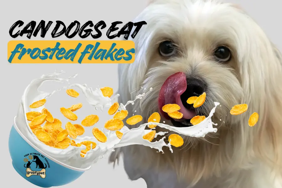 can dogs eat frosted flakes