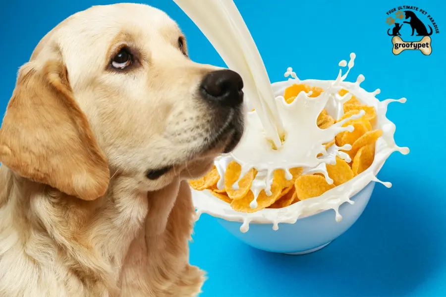 can dogs eat frosted flakes