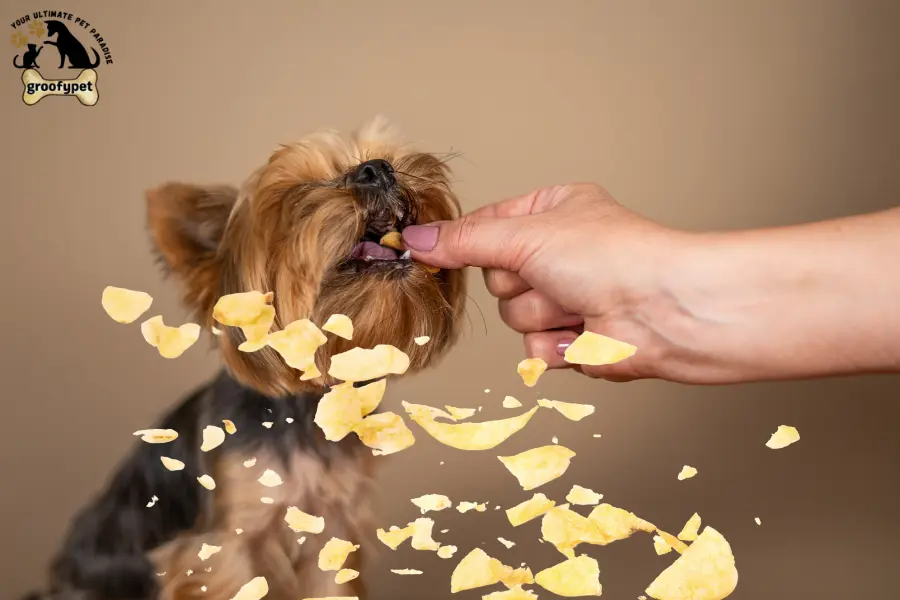 can dogs eat salt and vinegar chips