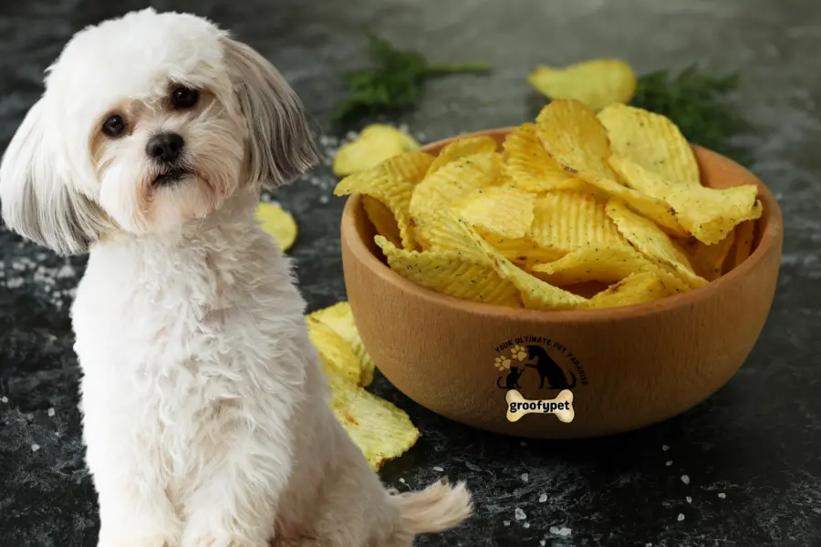 can dogs eat salt and vinegar chips