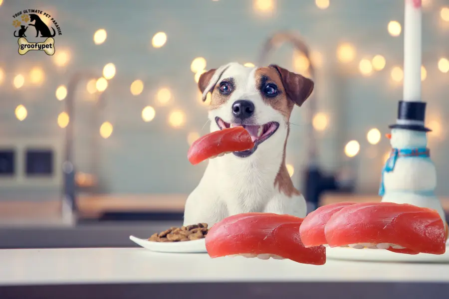 can dogs eat ahi tuna