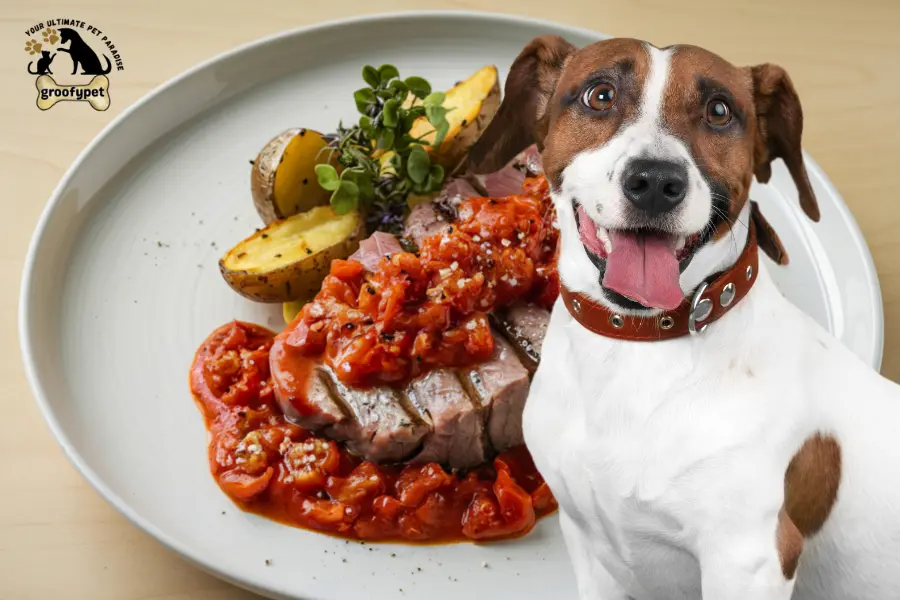 can dogs eat ahi tuna