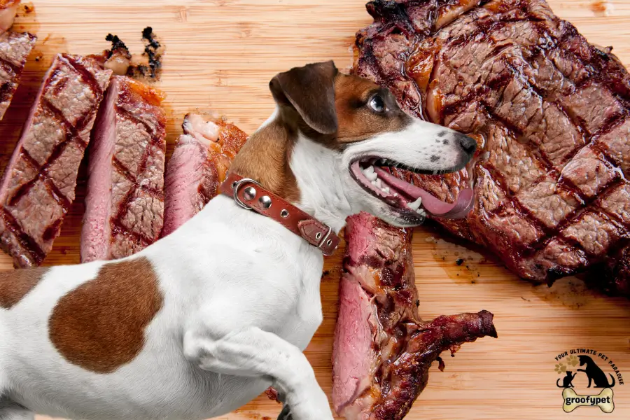 can dogs eat carne asada