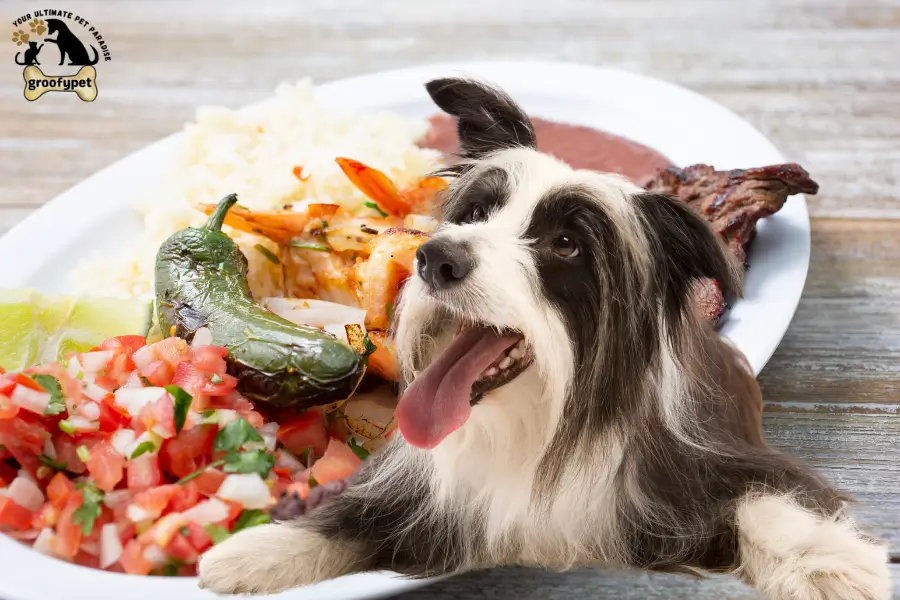 can dogs eat carne asada