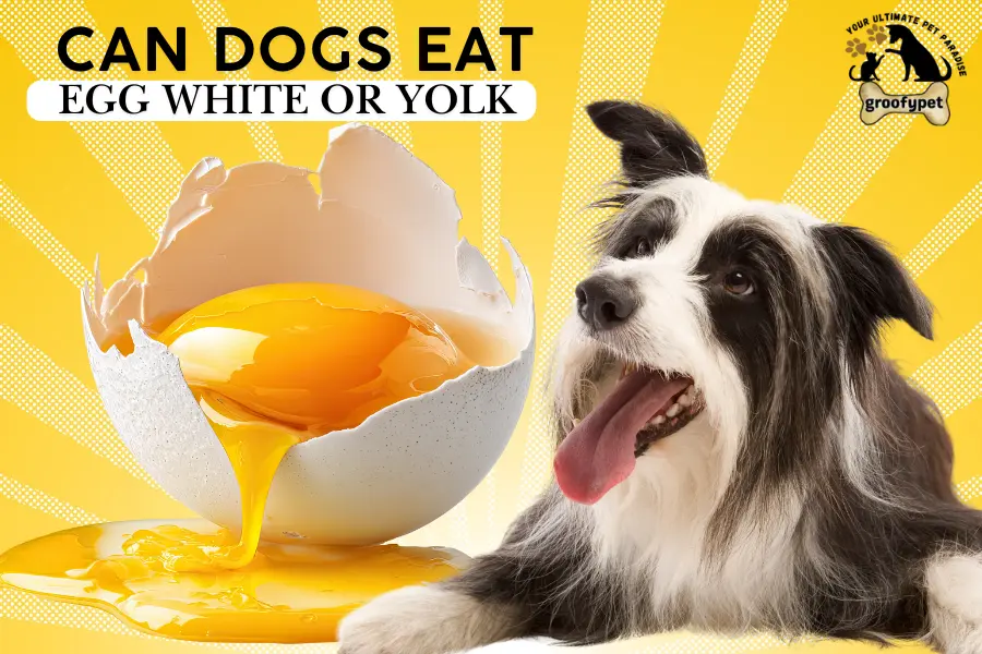 can dogs eat egg white or yolk