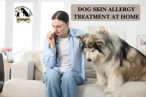 dog skin allergy treatment at home