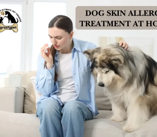 Dog Skin Allergy Treatment at Home: 10 Powerful Ways to Soothe the Itch Fast!