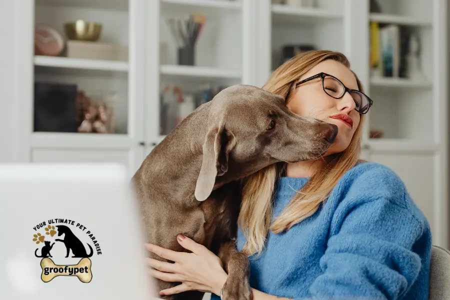 dog skin allergy treatment at home