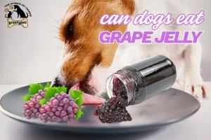can dogs eat grape jelly