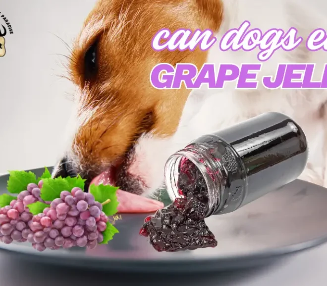 Can Dogs Eat Grape Jelly? A Caring Guide for Worried Dog Parents!